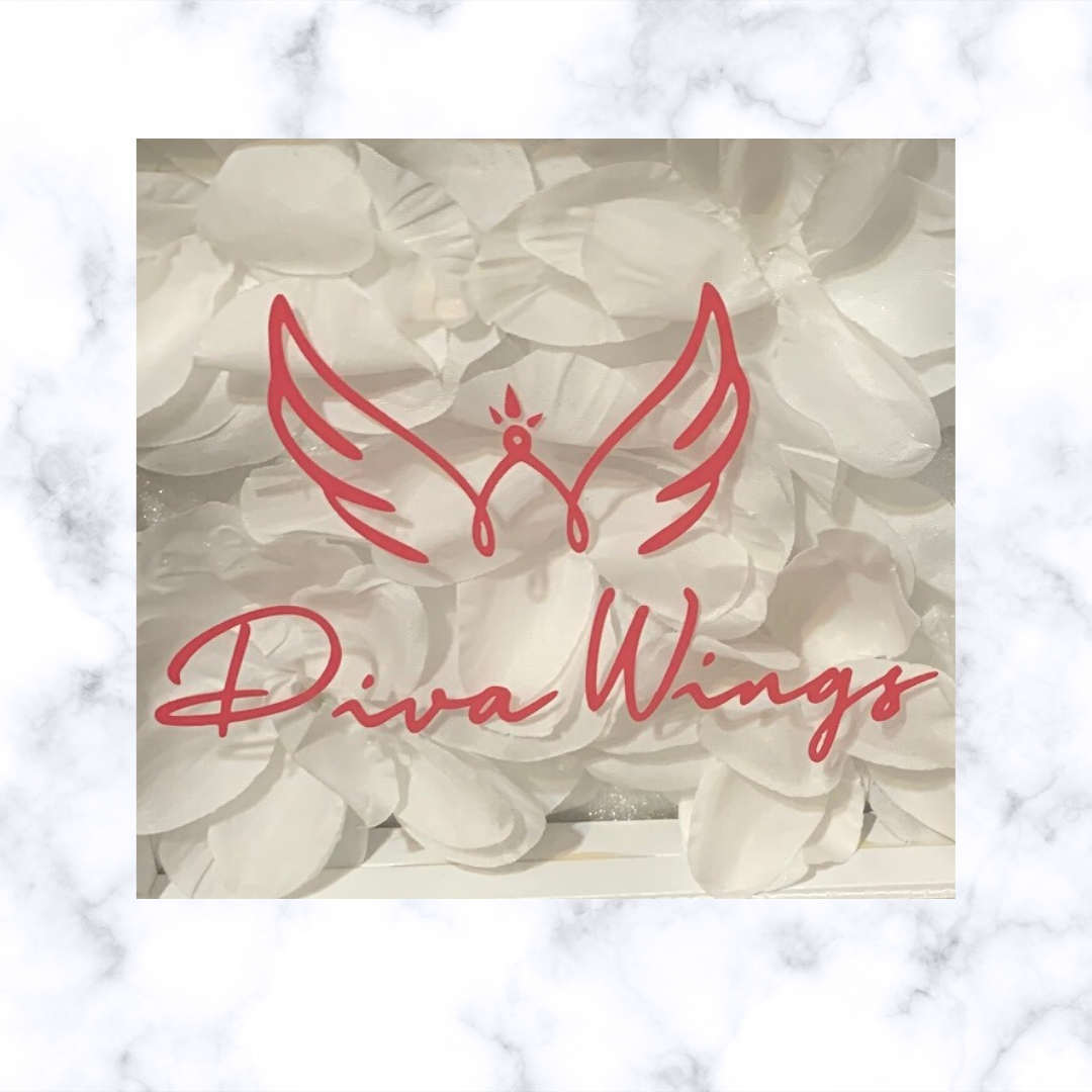 Bra Organizer – The Real Diva Wings